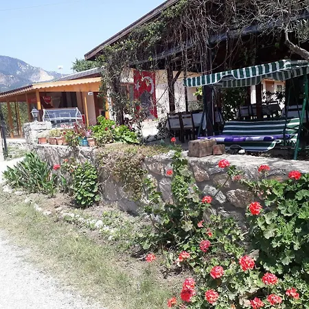 Incir Apart 3* Mesudiye